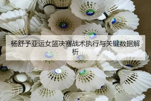 杨舒予亚运女篮决赛战术执行与关键数据解析